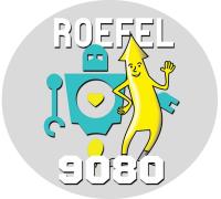 ROEFEL PROXY DELHAIZE 10u