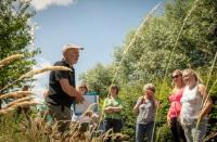 Wandeling Jan Vaeck - Magische geneeskunde